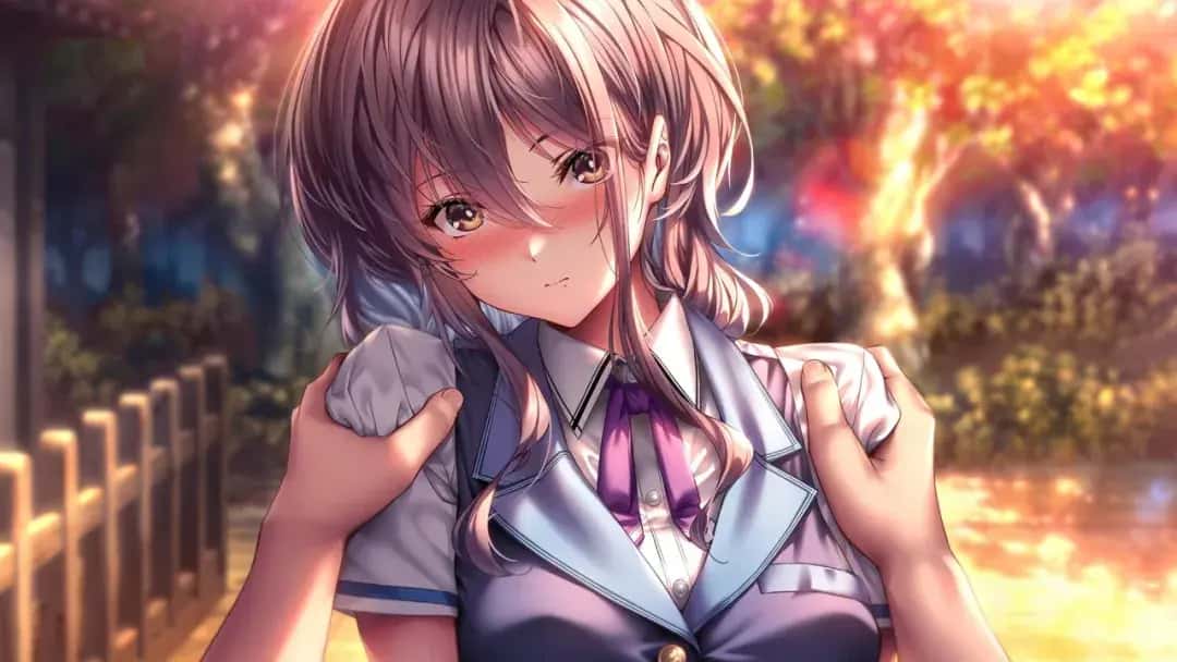 视觉数据2